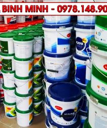 Đại Lý Sơn KOVA Tại Đống Đa, Hà Nội-2