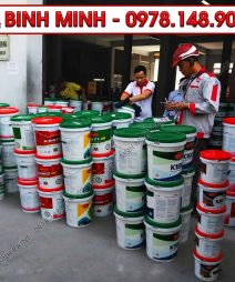Đại Lý Sơn KOVA Tại Hà Giang-2