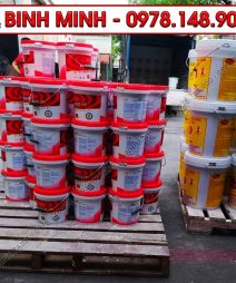 Đại Lý Sơn KOVA Tại Tuyên Quang-2