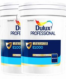 Sơn Ngoại Thất Dulux Professional E1000