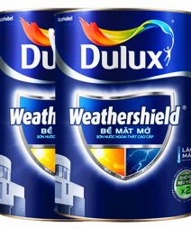 Sơn Ngoại Thất Dulux Weathershield Mờ (BJ8)