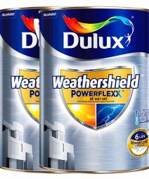 Sơn Ngoại Thất Dulux Weathershield Power Flexx Mờ