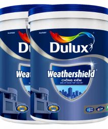 Đại Lý Sơn Dulux Tại Ninh Bình